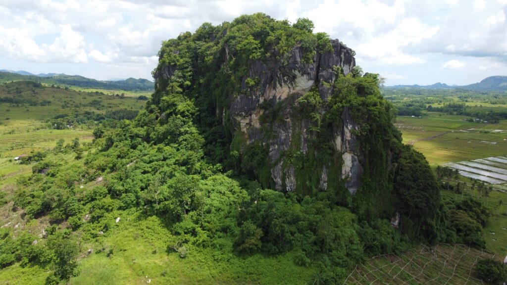 Bat ongan cave in masbate aerial shot