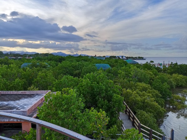 Pawa Mangrove Park in Masbate